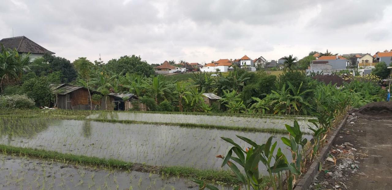 Pd Bali Guesthouse Canggu Екстериор снимка